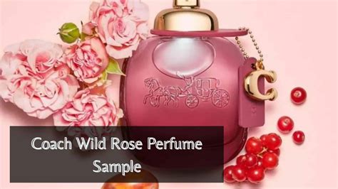 coach wild rose perfume cheap.